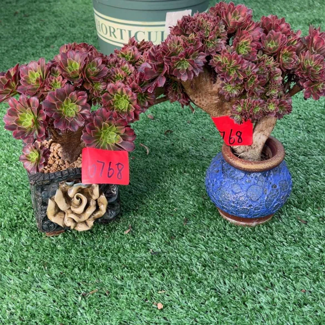 【闪购商品】0768铜壶黄缀