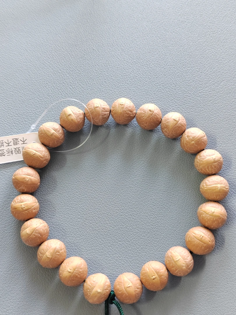 【WF13510】24年新树籽13.5mm尼泊尔凤眼菩提精挑精选21颗