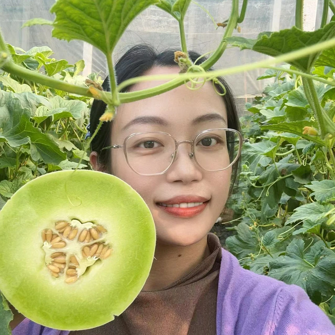 鲜农姐妹山东玉菇甜瓜 软糯香甜 老人小孩爱吃 产地现摘现发4.5斤