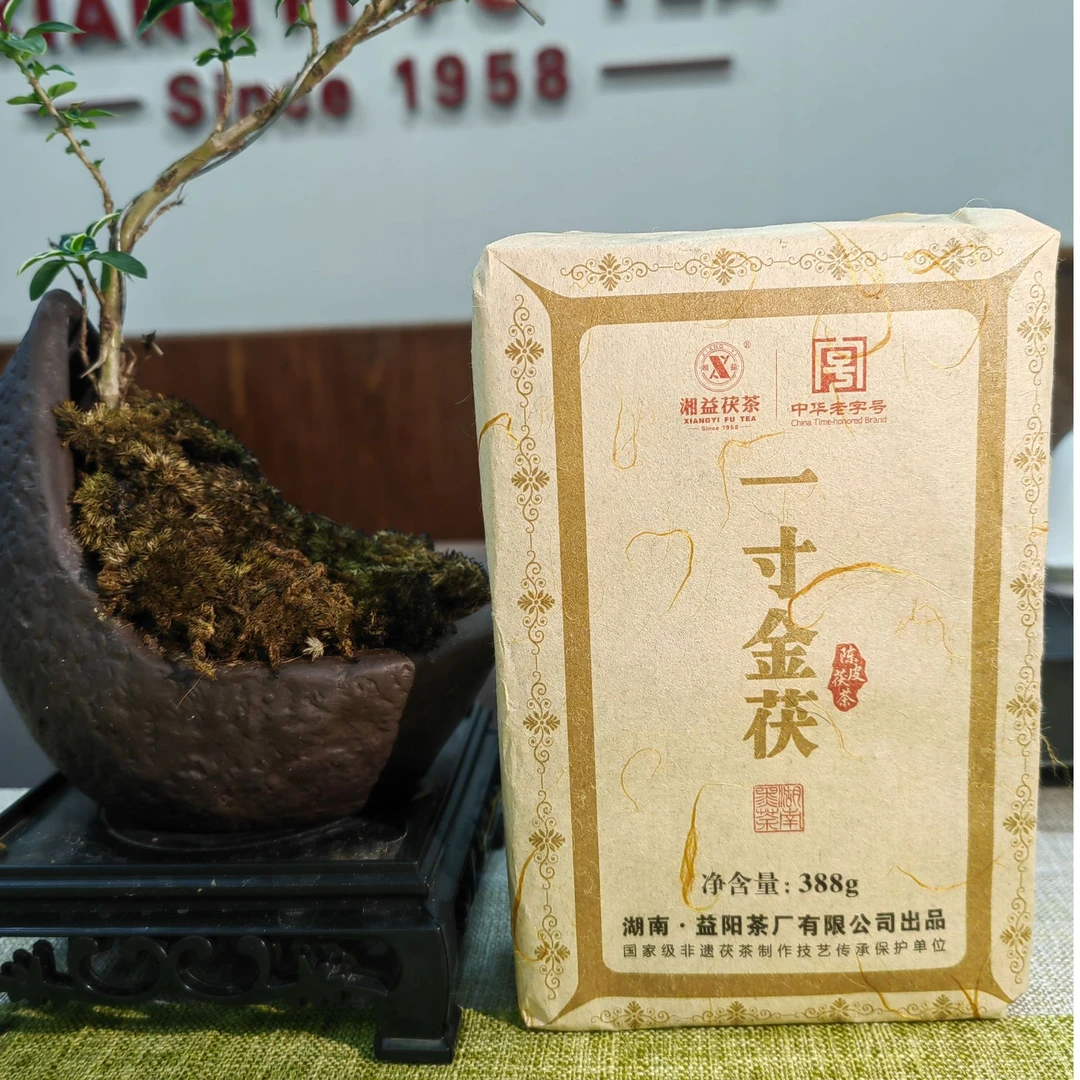 中华老字号【一寸金茯】2019年陈皮茯茶安化黑茶金花茯砖茶