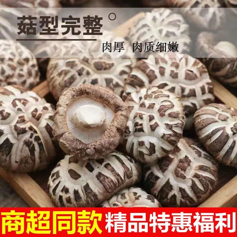 随州花菇土特产茶花菇头茬干货250g香菇之乡产地直发椴木香菇500g