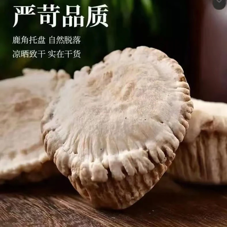 东北鹿乡 自然脱落 鹿角帽  原产地顺丰包邮
