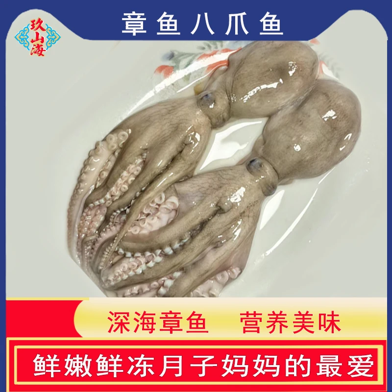 海鲜干货章鱼八爪鱼（2/3斤）爽口鲜嫩九山海