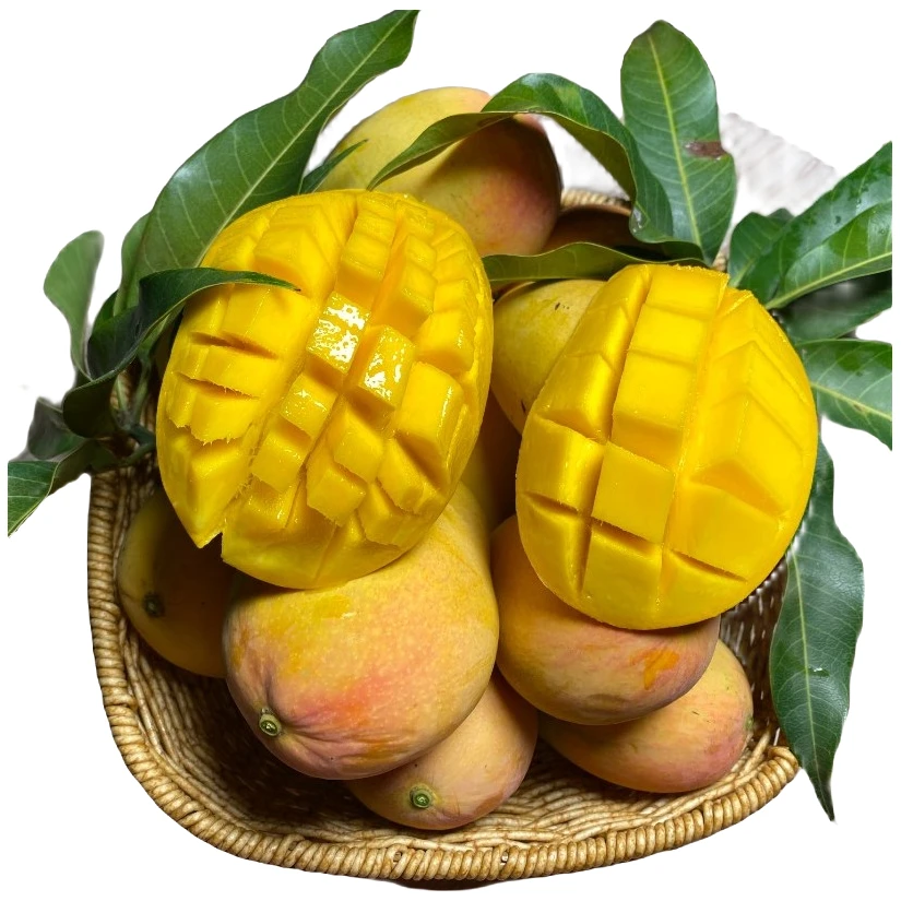 BaiseMango/百色芒果（台农芒）5/9斤尝鲜装 果园直采 现摘现发包邮