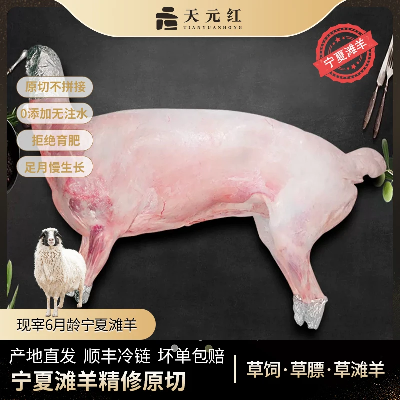 天元红宁夏滩羊整羊20斤/30斤乳羔羊肉清真新鲜分割鲜肉无腥膻味
