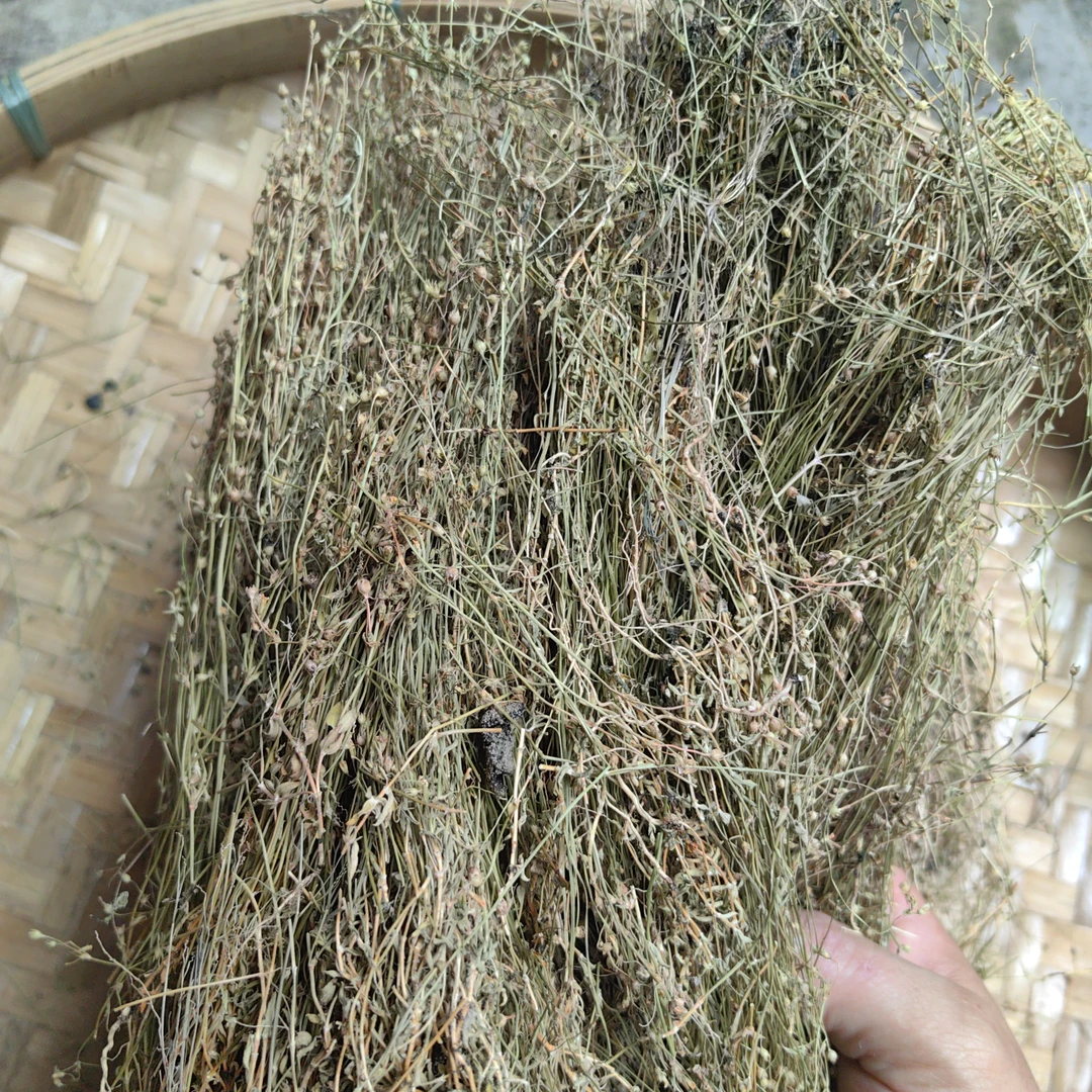 [四叶莲]汕尾本地四叶莲新鲜晒干，干货150g250g