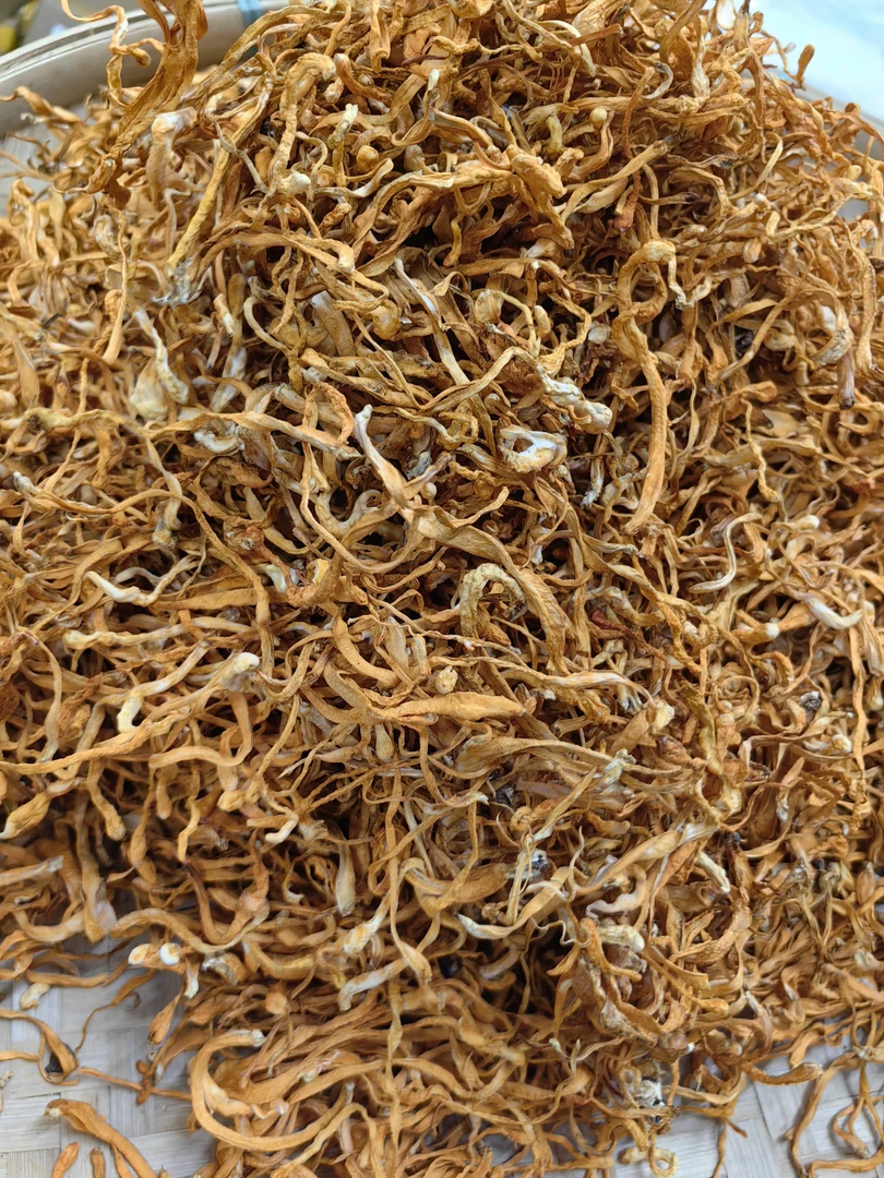 冬虫草花南北干货熬汤