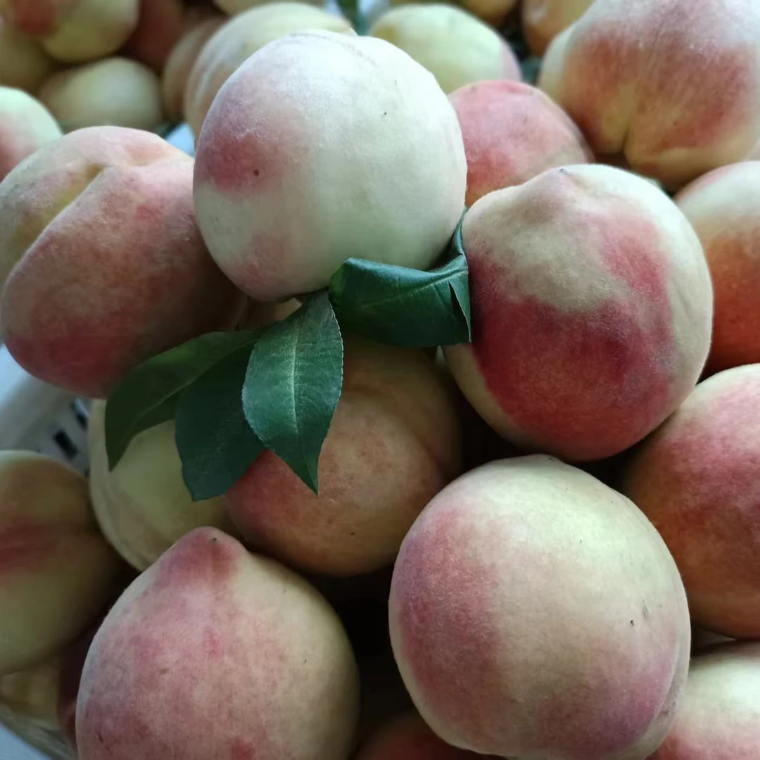 中华寿桃北京14号脆甜硬桃水蜜桃离核九宝桃久保桃水蜜桃