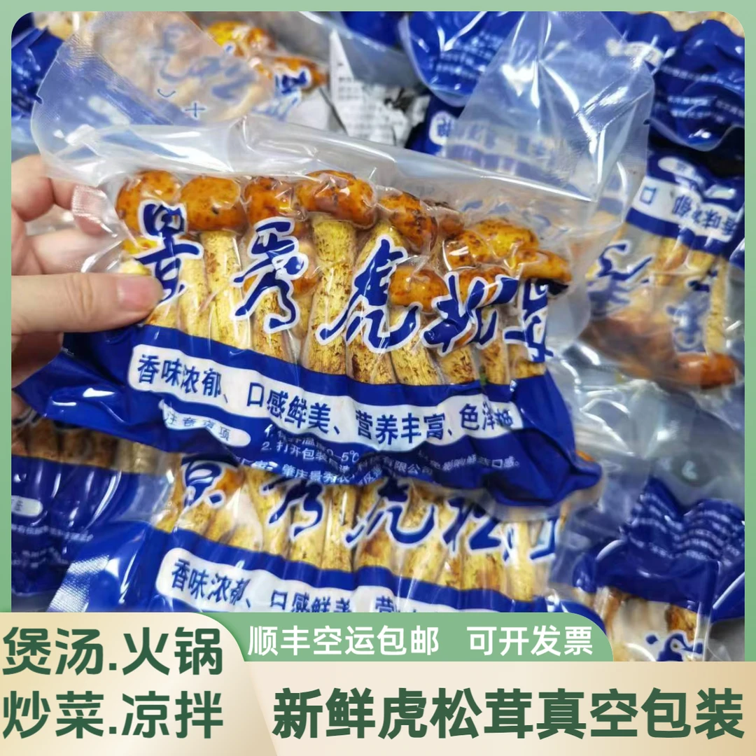 新鲜虎松茸煲汤食材产品火锅空运营养美味当天发货