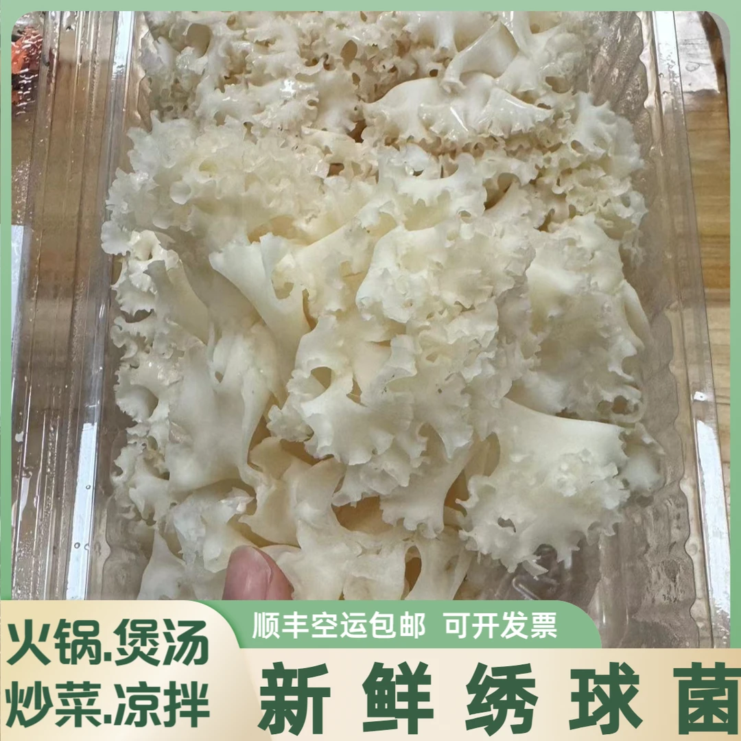 新鲜绣球菌2斤装顺丰包邮绣球煲汤火锅凉拌食材