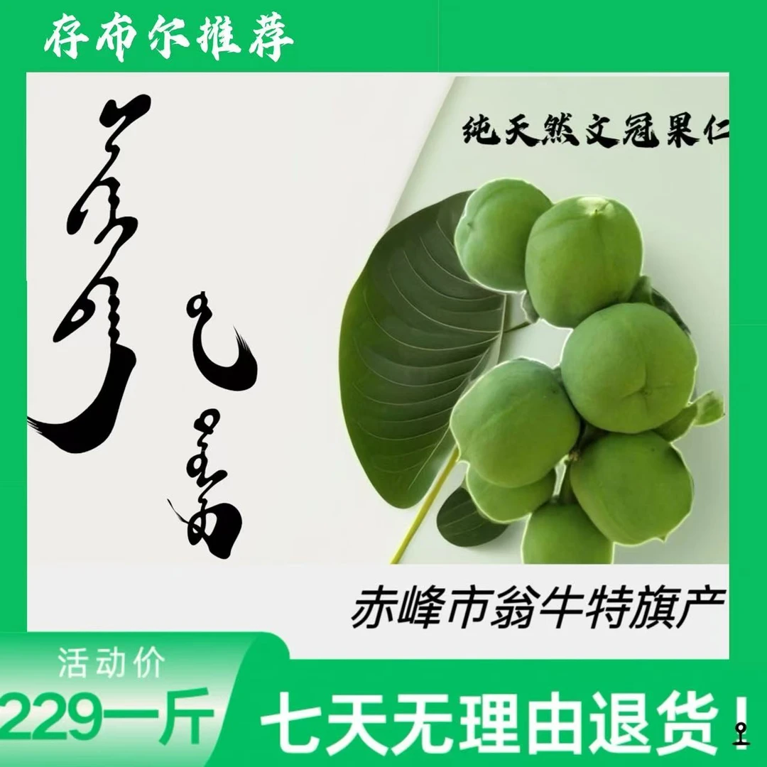 自榨油文冠果果仁