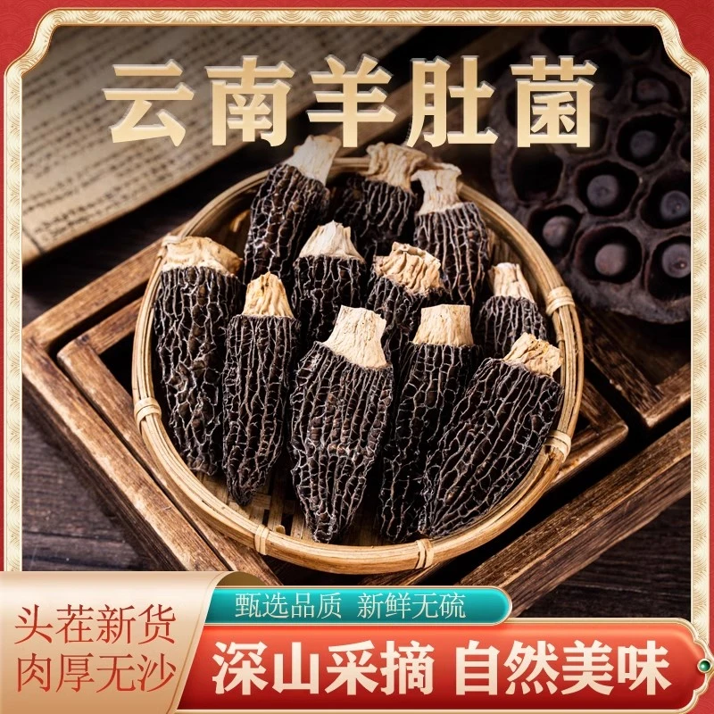 头茬羊肚菌云南高山种植特产干货煲汤食材礼盒装营养健康菌菇