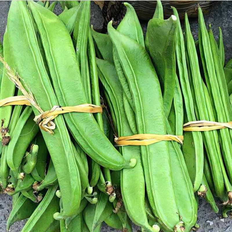 现摘现发土刀豆包邮江西农家新鲜刀豆蔬菜剁椒原料青刀把豆嫩1斤