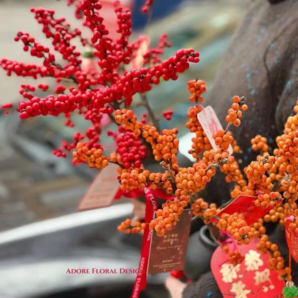【龙年大吉】【北美冬青套餐】（优花甄选）春节鲜花云南直发
