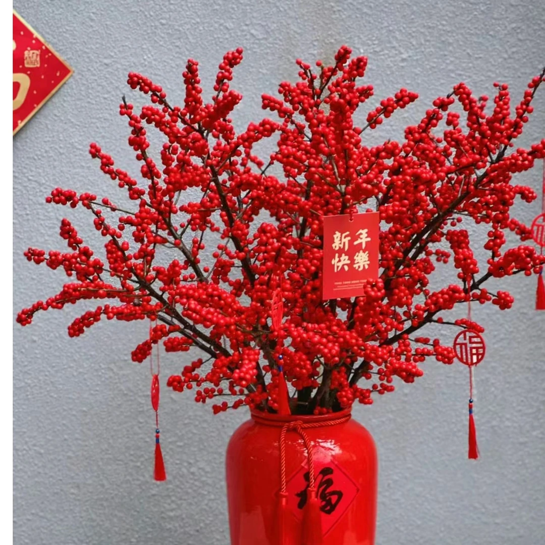 【粉丝专享福利】【冬青】(会有掉果介意勿拍)年宵花花材【锦森林】