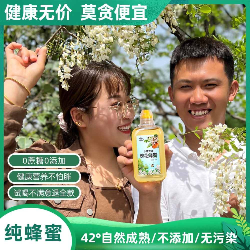【拍一发二】纯正过滤槐花蜂蜜健康500克天然成熟（不纯包退）