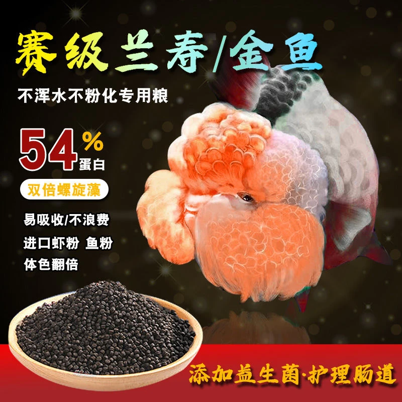 金鱼鱼粮兰寿泰狮玛丽将军催鱼长头瘤增色专用定制高蛋白鱼粮
