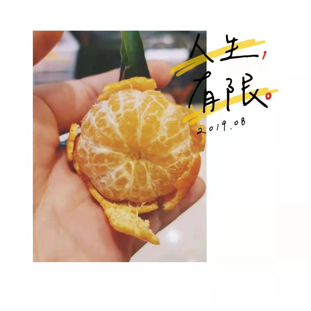 沙糖桔（约3斤）