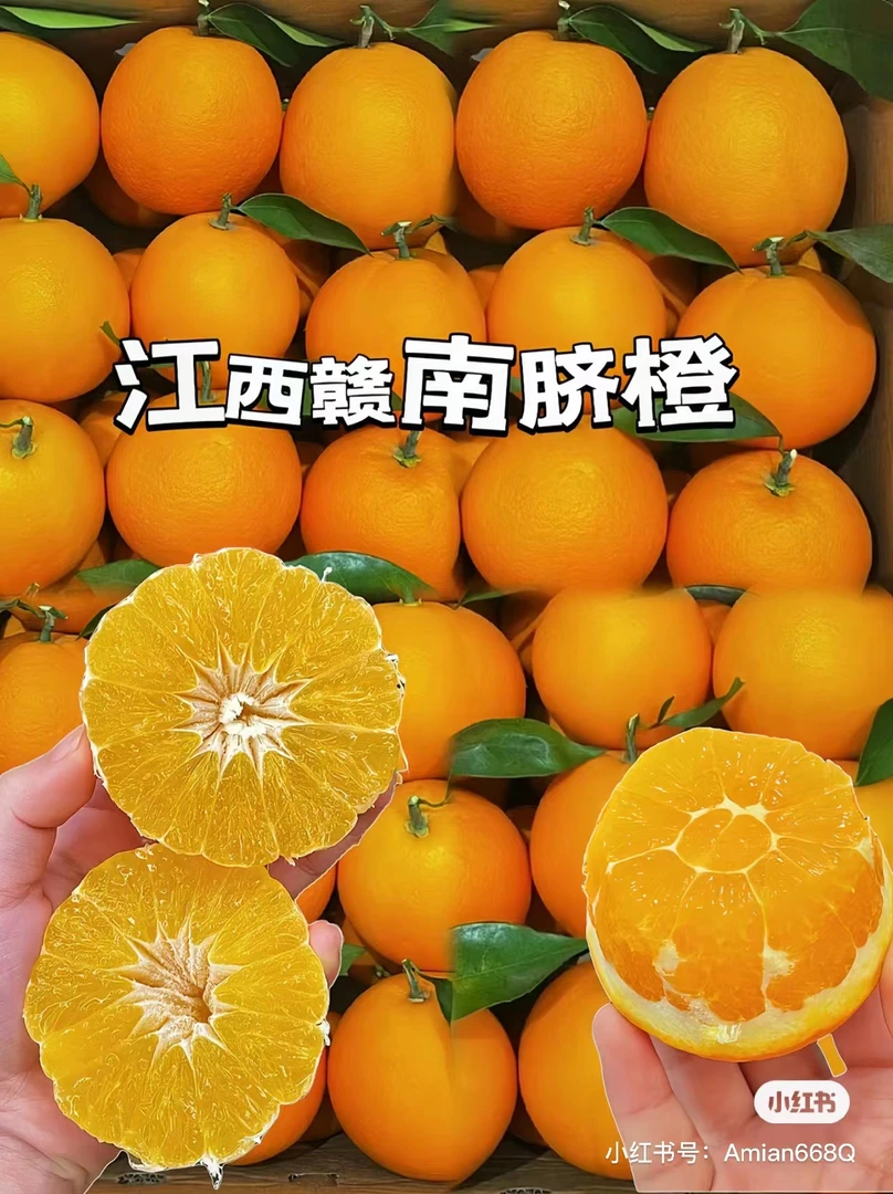 赣南脐橙（约5斤左右）