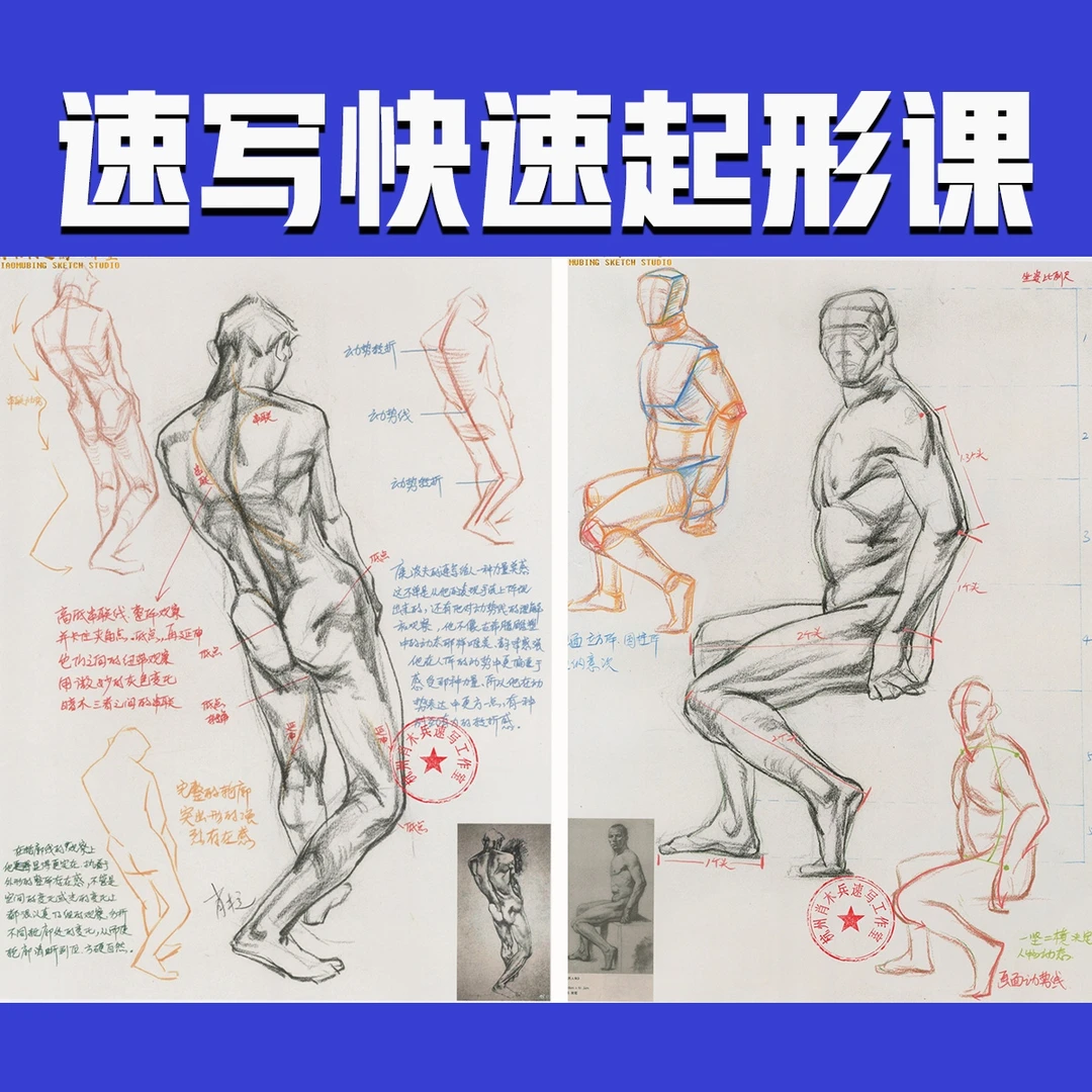 画速写必备快速起形课-绘画专业零基础成人学生老师入门学习