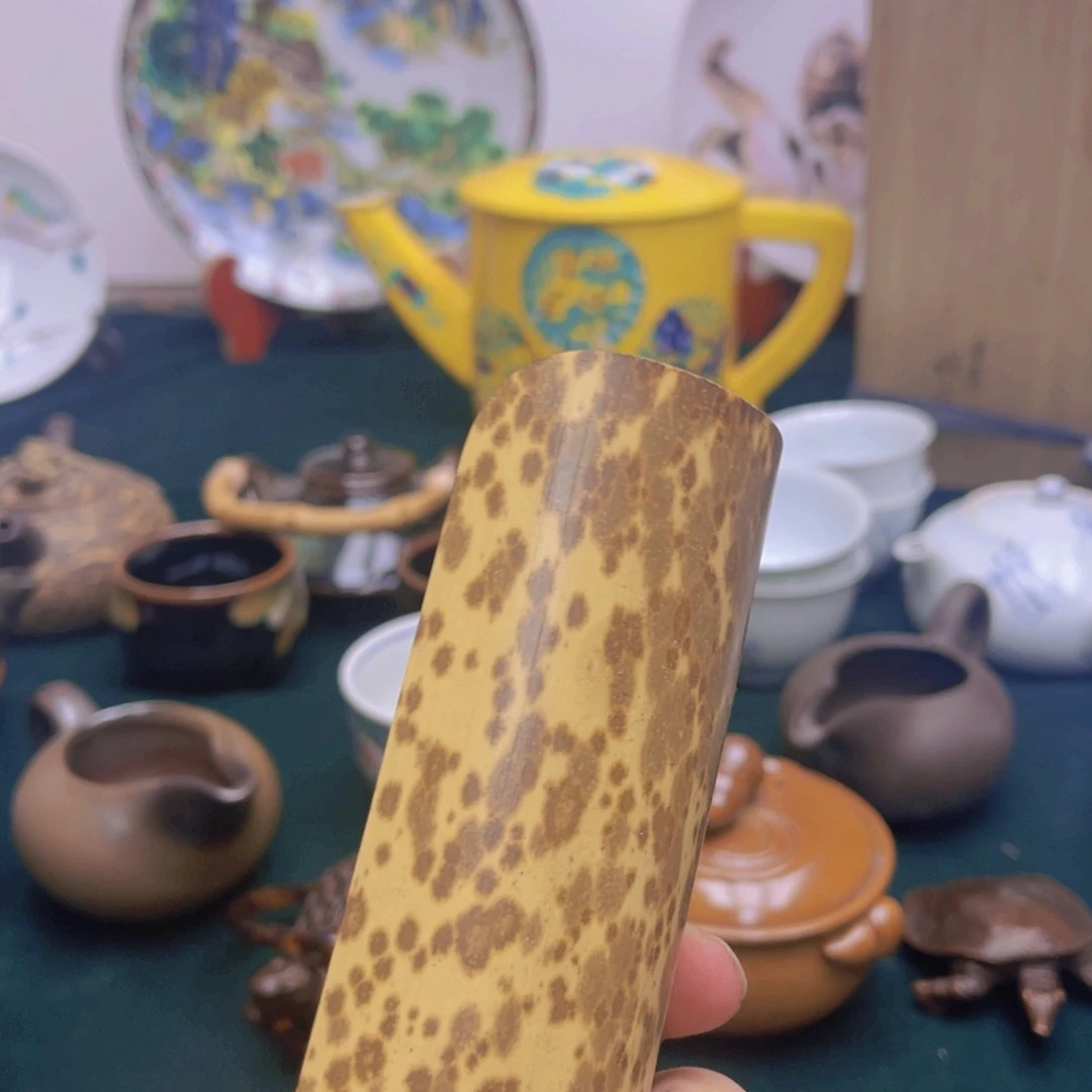 茶盏噜啦啦啦啦啦啦
