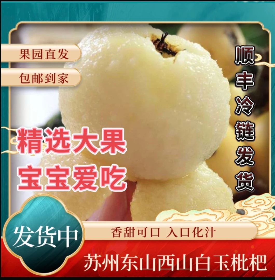 【 实惠大果84颗】苏州正宗超甜白玉枇杷新鲜采摘约4.6-4.8斤礼盒装
