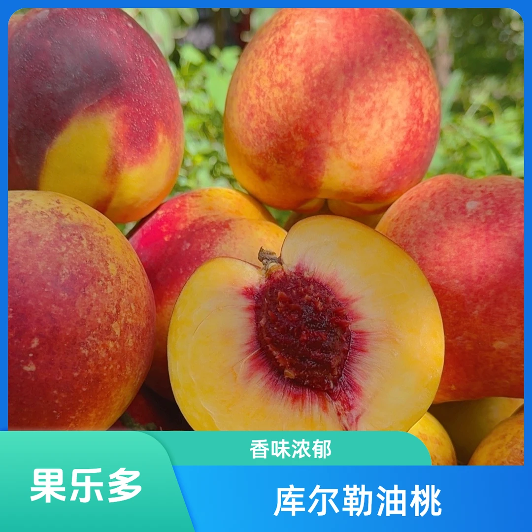 【顺丰空运】新疆库尔勒 沙王油桃，桃香味浓郁，汁水很多，好吃