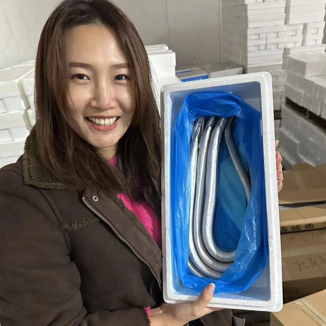 渤海湾带鱼大连刀鱼深海野生鱼（4斤装5-6条）鲜鱼速冻船上直达加工