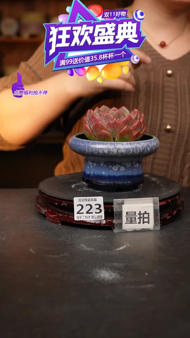 【闪购商品】瓷片223泥泥手工花盆口