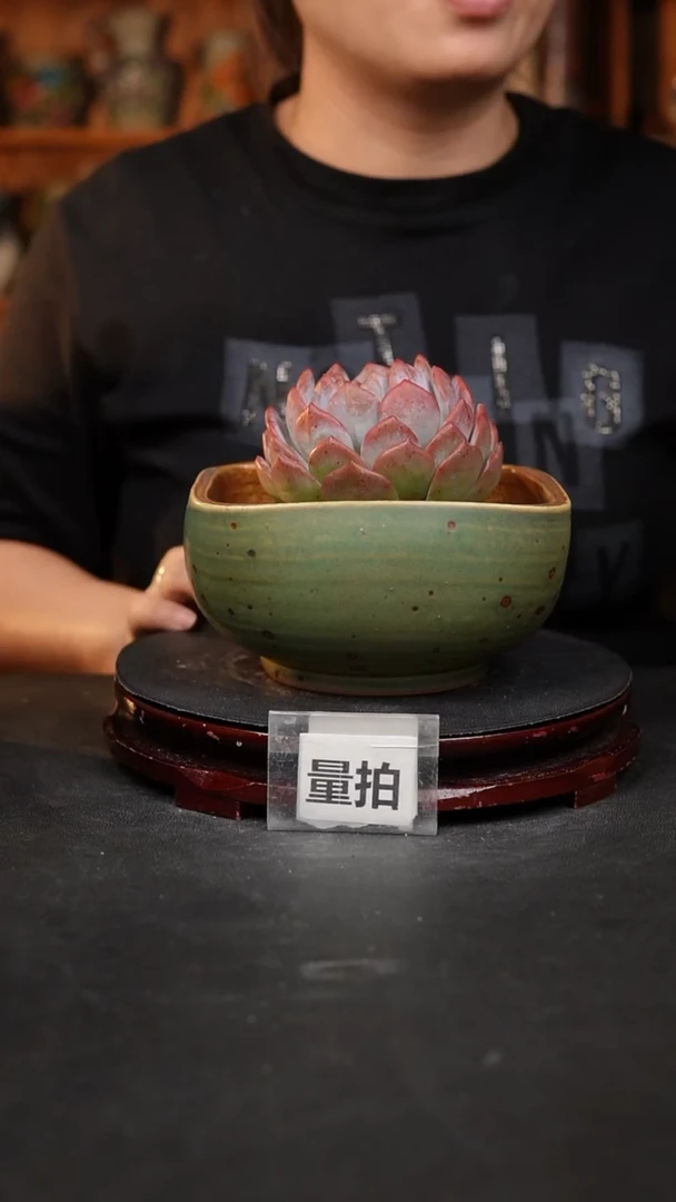 【闪购商品】瓷片 泥泥手工花盆口12-13公分
