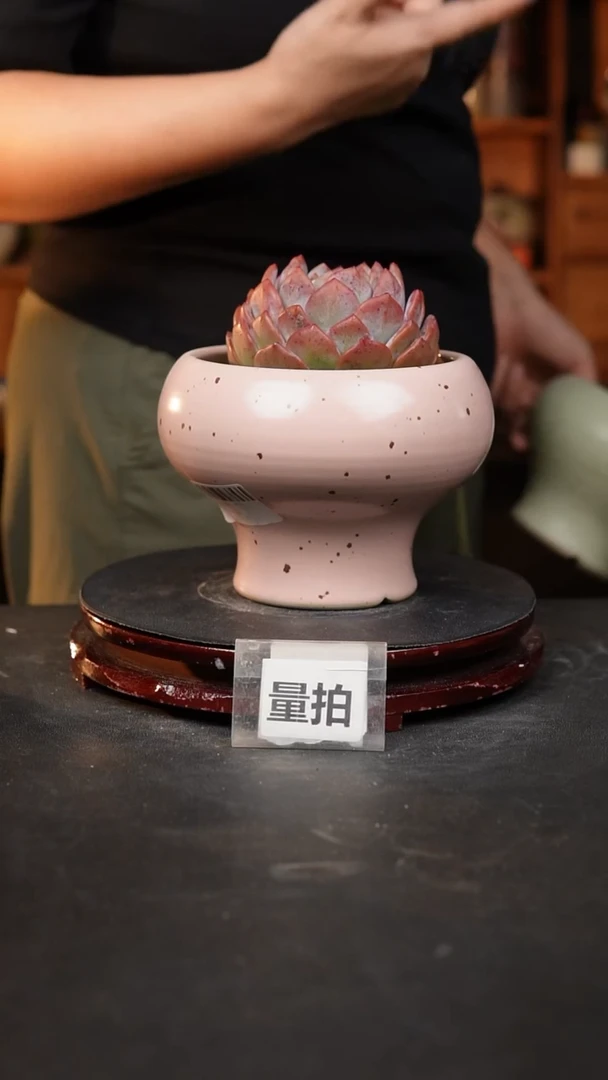 【闪购商品】瓷片 泥泥手工花盆口11高11