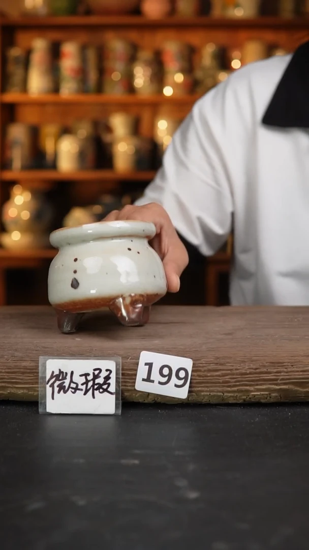 【闪购商品】瓷片199泥泥手工花盆