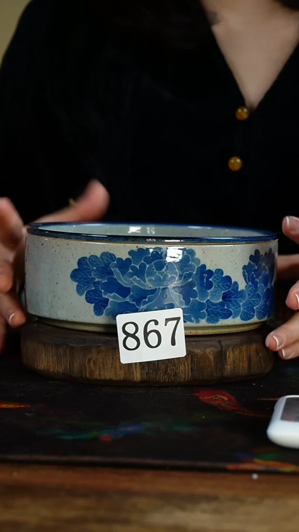 【闪购商品】..........................867微瑕