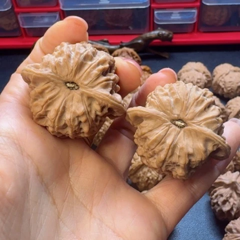 文玩核桃把件血麒麟