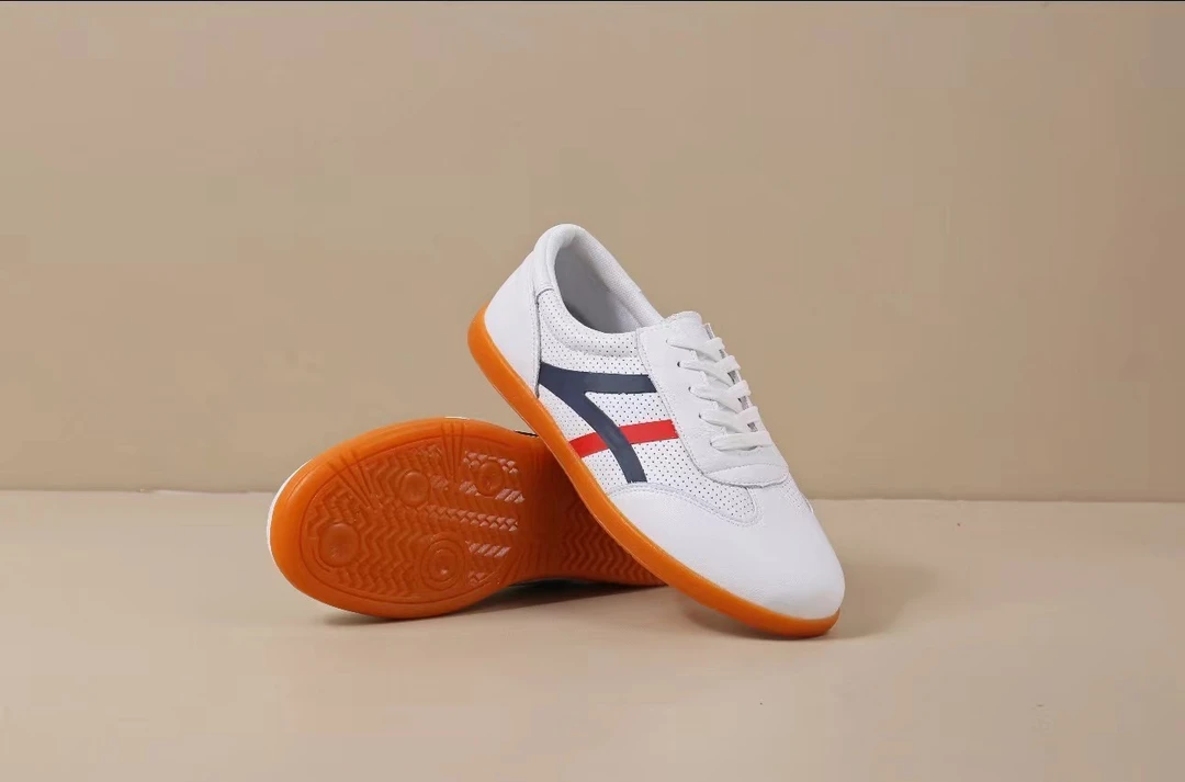 潘老师同款太极鞋两双鞋垫一本书