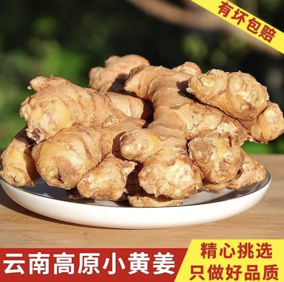 云南高原产地新鲜小黄姜3斤辛辣味十足姜味浓郁生姜老姜包邮
