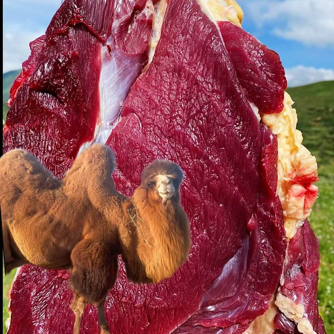 【小马回馈】坐在沙发垫上看小马如何直播