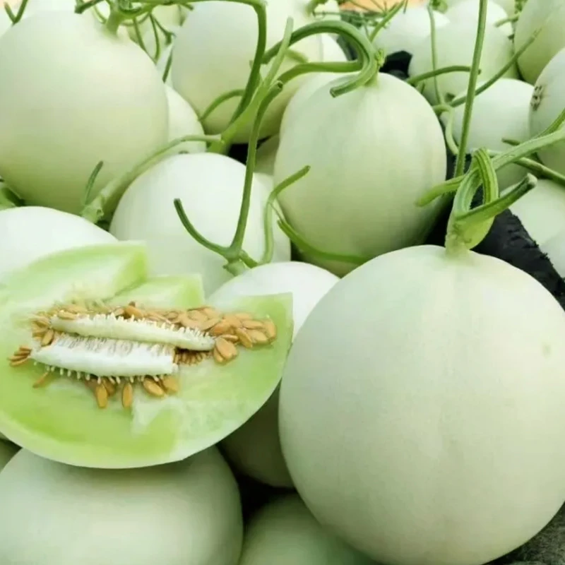 玉菇甜瓜新鲜水果当季冰淇淋小香瓜蜜瓜哈密瓜脆瓜5斤香甜肉厚