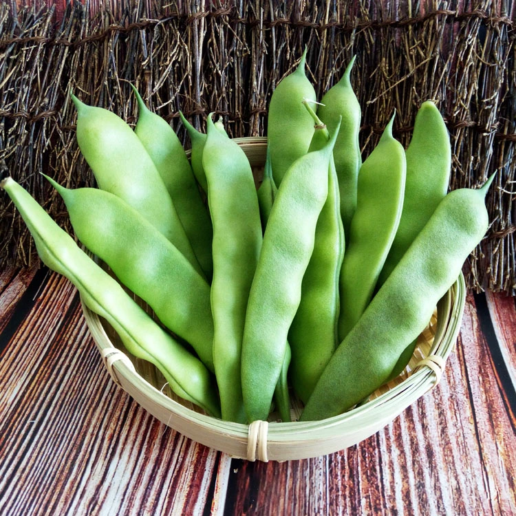 东北油豆角新鲜九月青豆角现摘现发正宗3/5斤包邮
