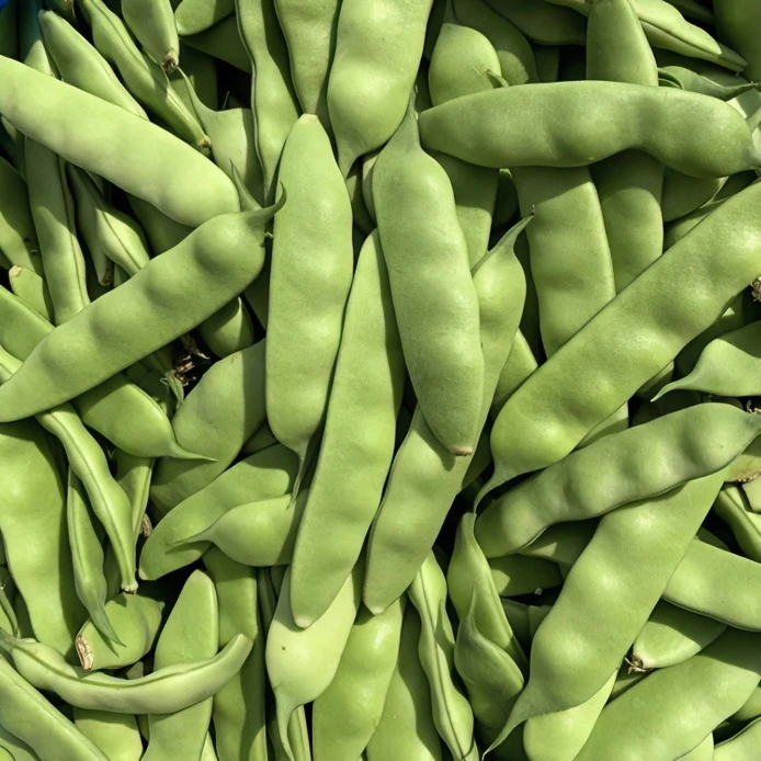 东北特产绿油豆角净重5斤新鲜九月青农家蔬菜鲜嫩东北油豆角