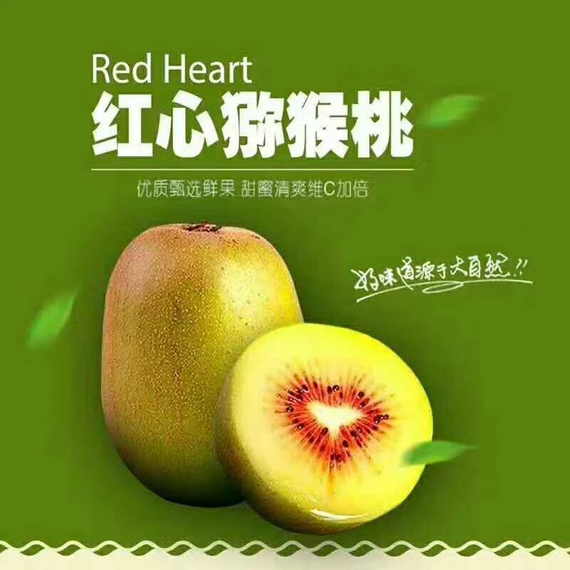 西峡红心猕猴桃产地直销奇异果红阳大果果园直发自产自销包邮