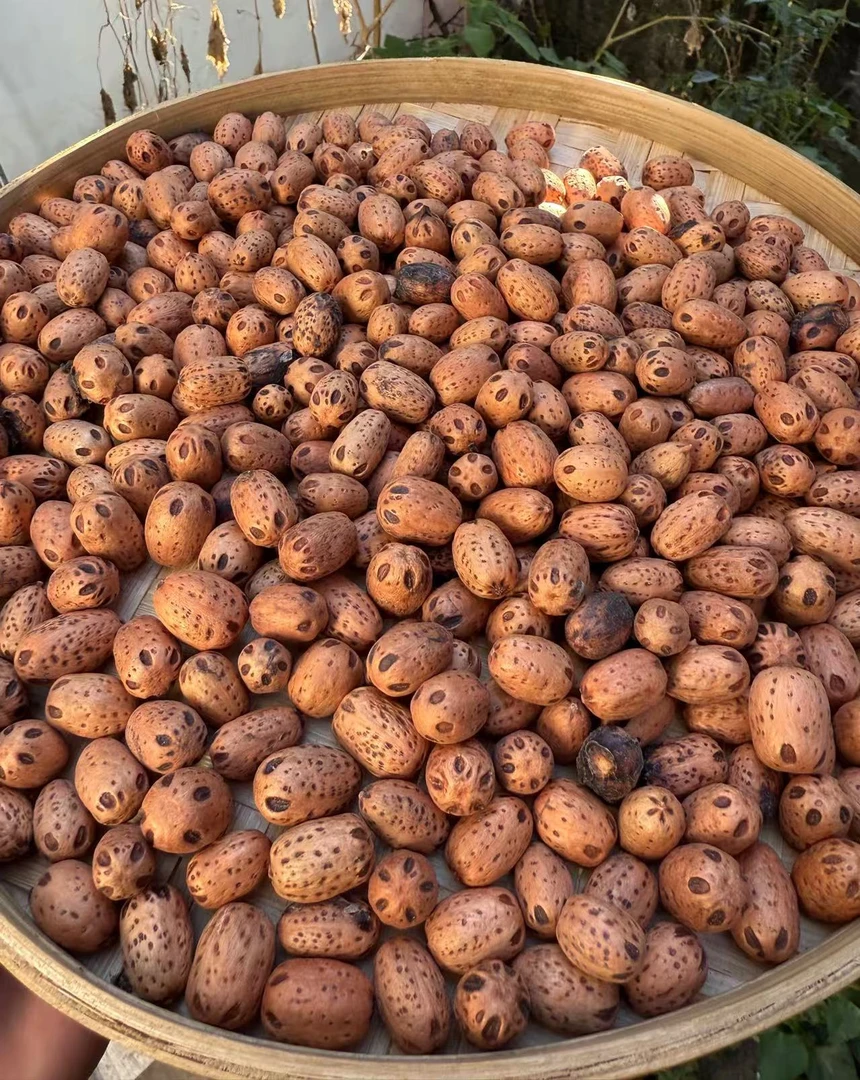 V 【土特产】五眼果 净含量250g~500g-1000g