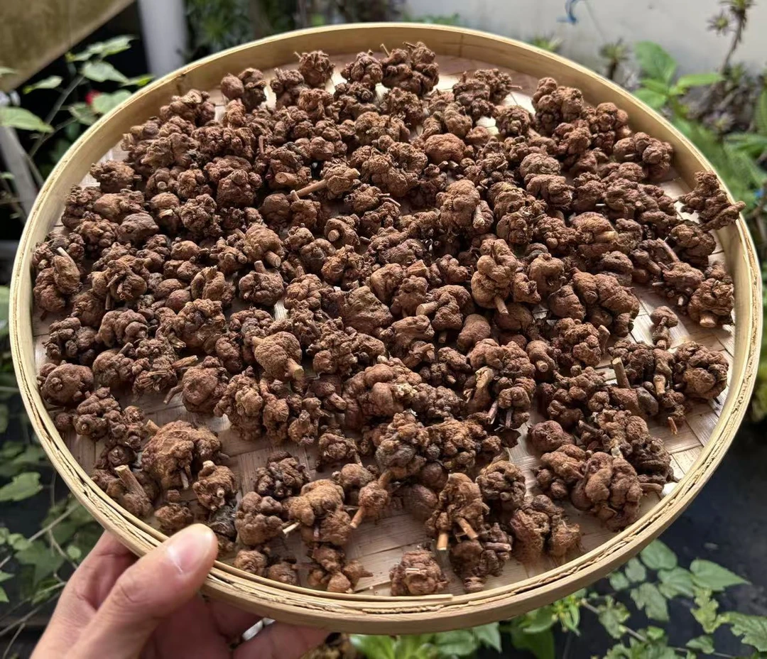V【土特产】消-廇-果 净含量500g