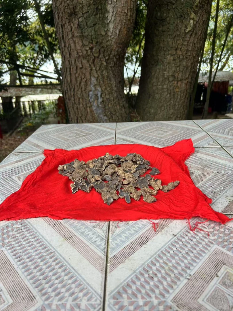 XL【土特产】金-边-黑-蔘净含量250g~500g