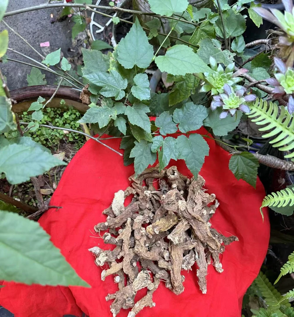 V【土特产】印-天-龍-净含量50g-100g-250g