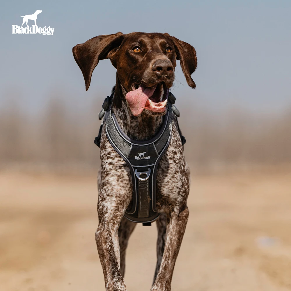 BlackDoggy狗狗防爆冲舒适胸背带反光结实外出遛狗户外出行小大型