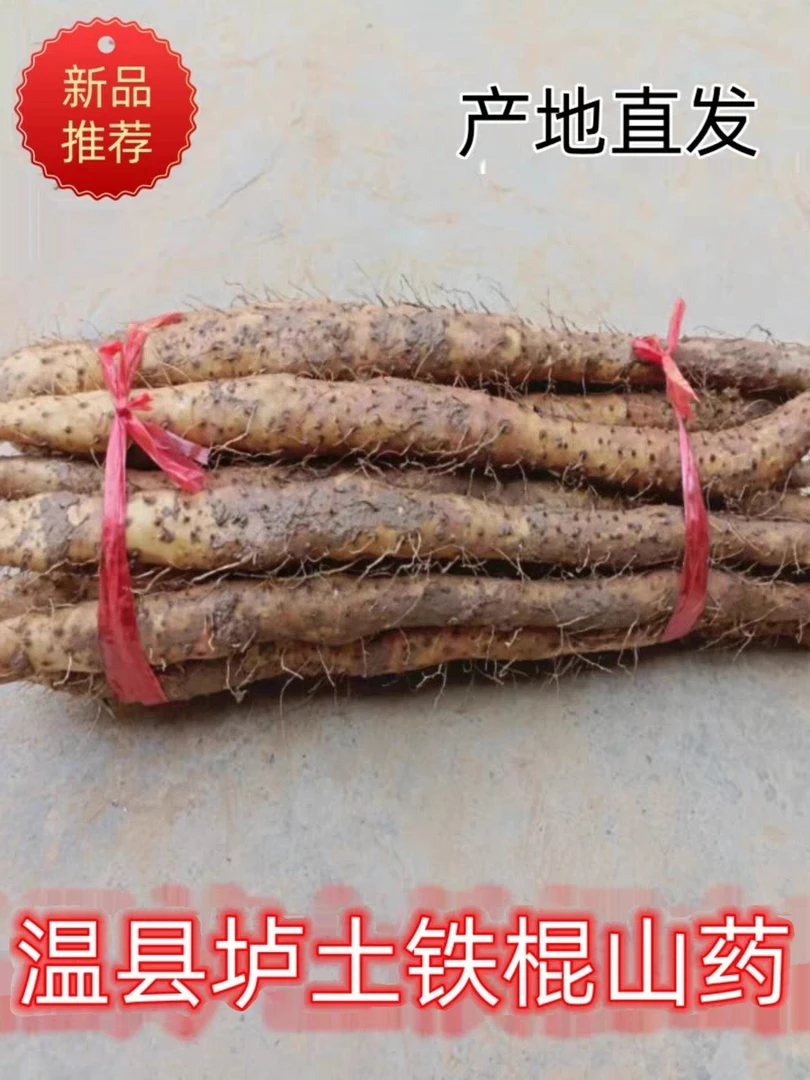 焦作温县垆土铁棍山药怀山药自产自销铁棍山药