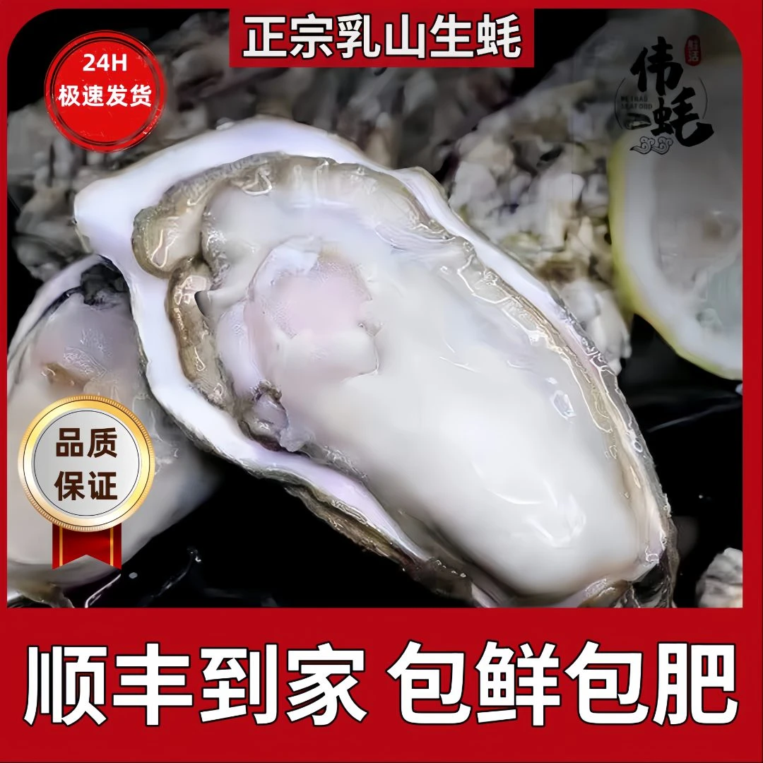 【顺丰包邮】正宗级肥乳山生蚝5斤鲜活牡蛎 原产地发货