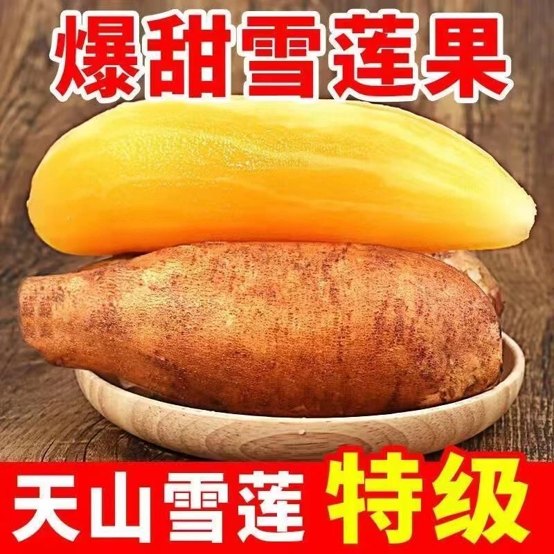 【新鲜直达】现挖天山雪莲果红心正宗新鲜脆甜水果一整箱批发