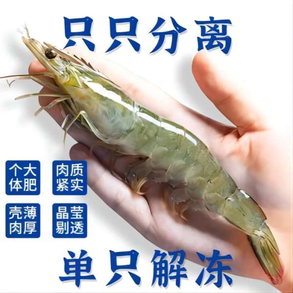 盐冻虾3040鲜活海鲜海虾冷冻鲜虾鲜活海鲜到手净重3.3-3.5斤顺丰
